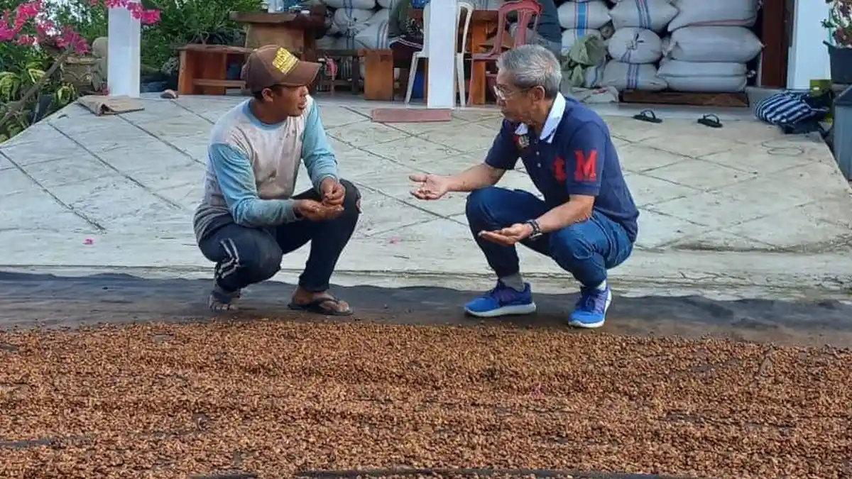 Petani Kopi Kecipratan Rejeki Imbas Menjamurnya Coffee Shop di Kintamani