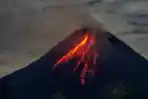Erupsi Gunung Merapi