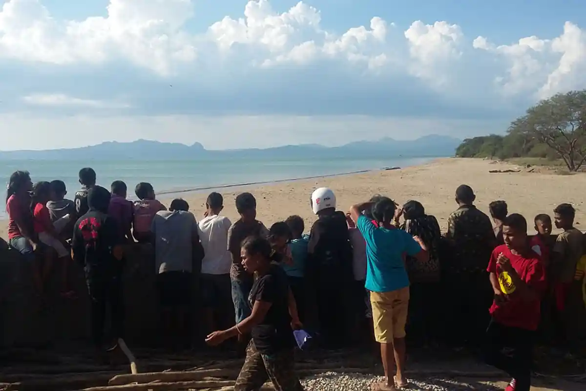 Ada Lomba Tangkap Buaya Hidup di NTT, Hadiahnya Rp 5 Juta. Anda Tertarik?