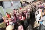 Upacara Adat Ngarot