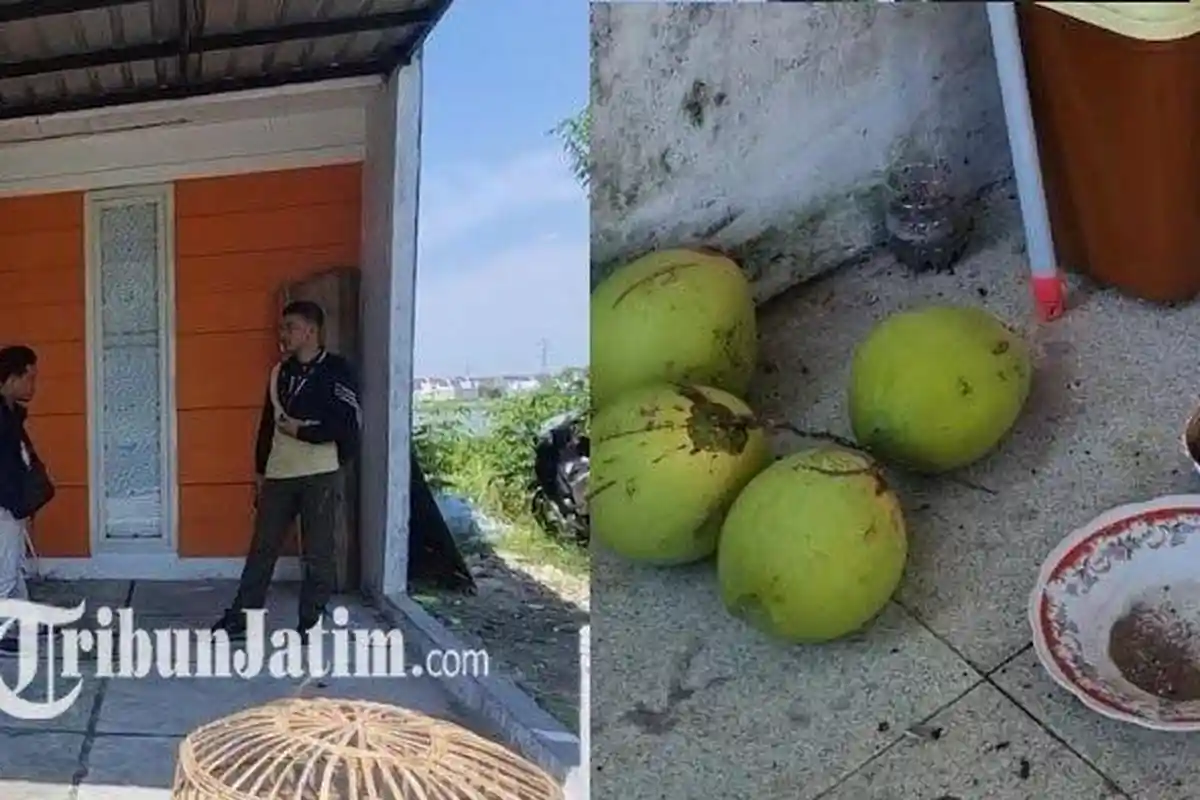 Dukun Pengganda Uang di Gresik Diciduk Polisi, Ditemukan Kantong Darah dan Jenglot di Rumahnya