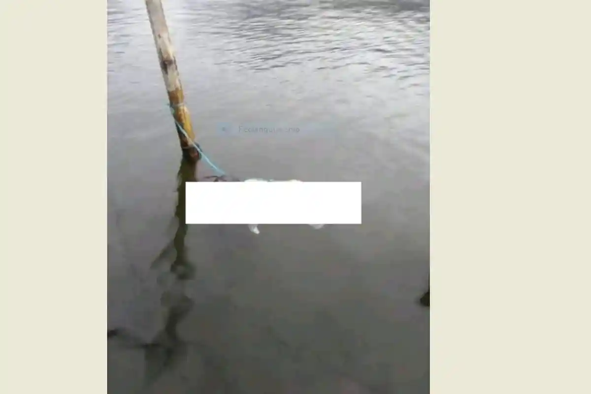 Nelayan Kerinci Temukan Sesosok Mayat Bayi Mengapung di Sungai Batang Merao