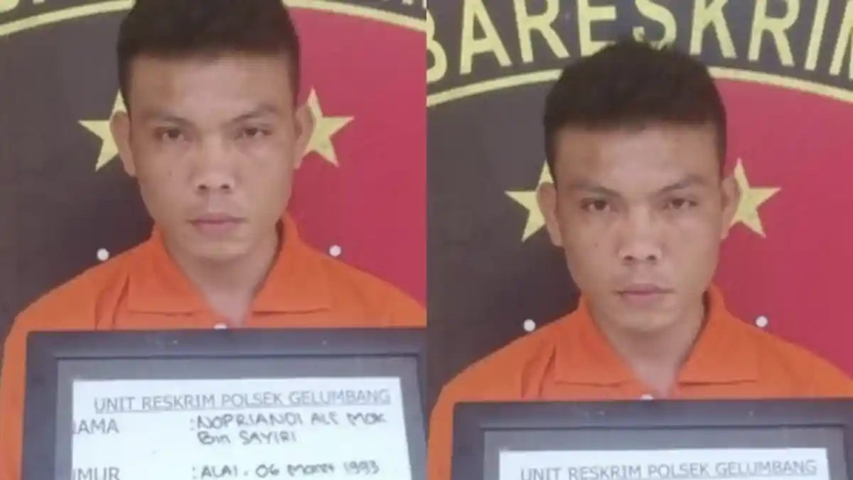 Polsek Gelumbang Berhasil Ringkus DPO Curas yang Buron Dua Tahun, Ternyata Ini Kasusnya