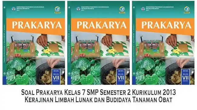 Tribun