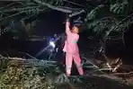 Pohon-tumbang-di-Jalan-Raya-Kepanjen-Malang-petugas-lakukan-evakuasi.jpg