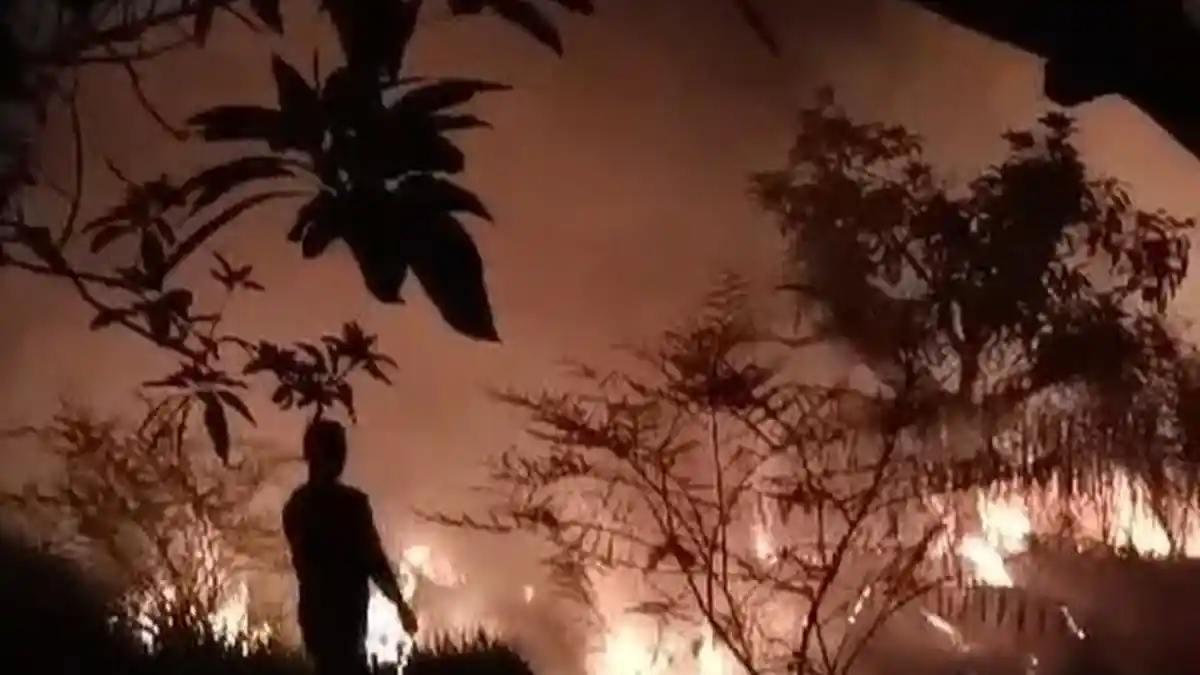 Musim Kemarau, Kebakaran Hutan dan Lahan Mulai Meningkat di Bandung Barat - Tribunjabar.id