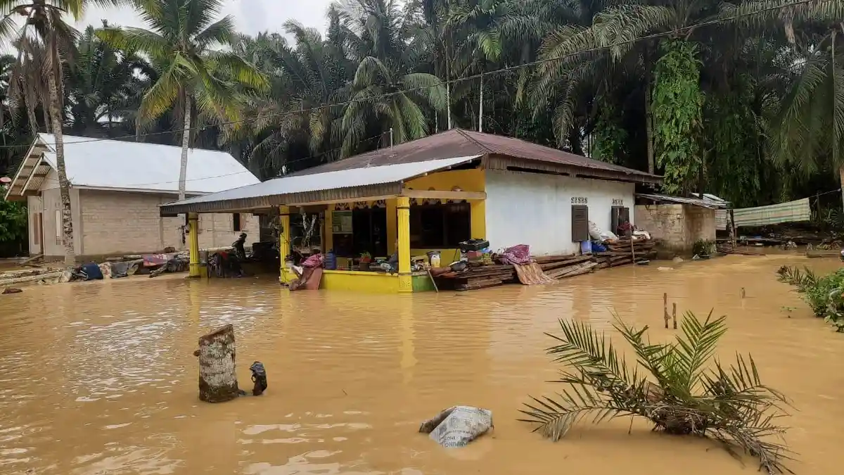 Update Banjir Dharmasraya, BPBD Sebut Ada 550 KK Terdampak, Tersebar di 4 Nagari