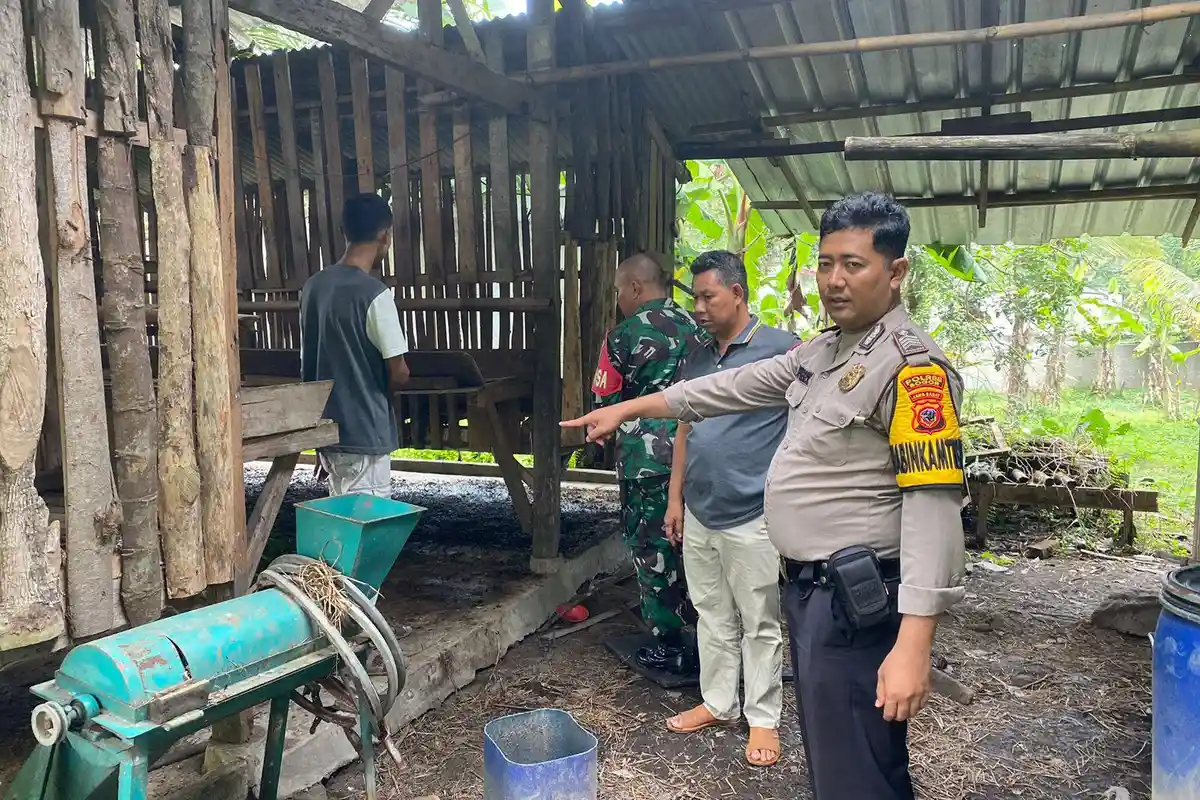 Tak Ada Bekas, 11 Kambing Lenyap di Kampung Sinar Harapan Kabupaten Bogor, Ini Penjelasan Polisi