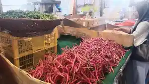 Harga-cabai-merah-dik.jpg