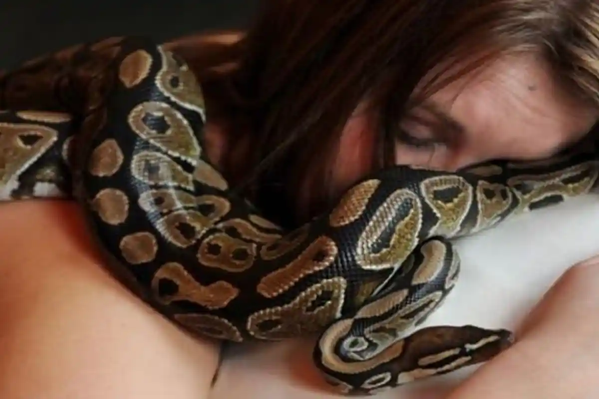 Wanita Ini Sering Tidur Dengan Ular Piton Sepanjang Malam, Sesuatu Yang Mengejutkan pun Terungkap