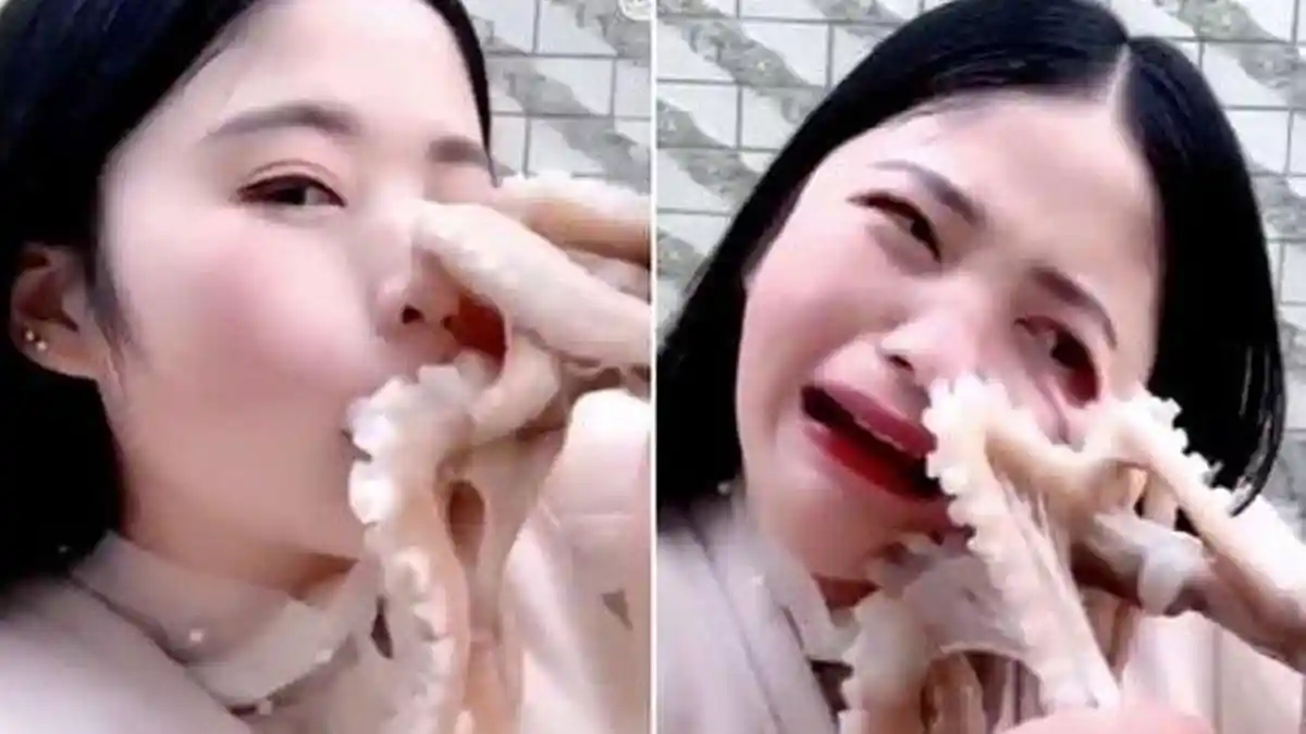 Hendak Dimakan Hidup-hidup, Gurita Ini 