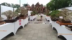 Pameran-bonsai-di-Alun-alun-Gianyar-dalam-HUT-Gianyar-pada-tahun-2023-lalu.jpg