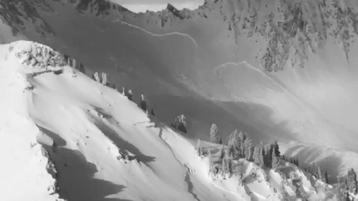 Pemain Ski Picu Longsoran Salju, Empat Orang Tewas di Utah