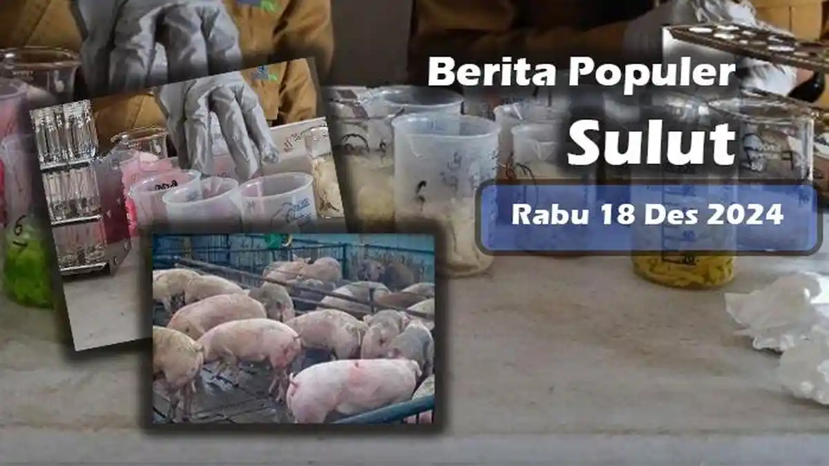 Populer Sulut Rabu 18 Desember 2024, Hasil Uji BPOM di Pasar dan Harga Daging Babi Jelang Natal