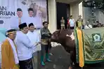 sapi-holkar.jpg