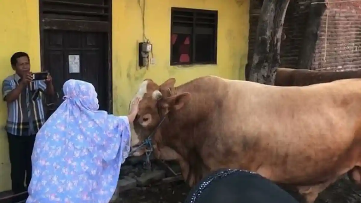 Kurban untuk Orangtua yang Sudah Meninggal