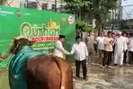 Polda-Metro-Jaya-mengurbankan-192-hewan-kurban-dalam-Hari-Raya-Idul-Adha-2024.jpg