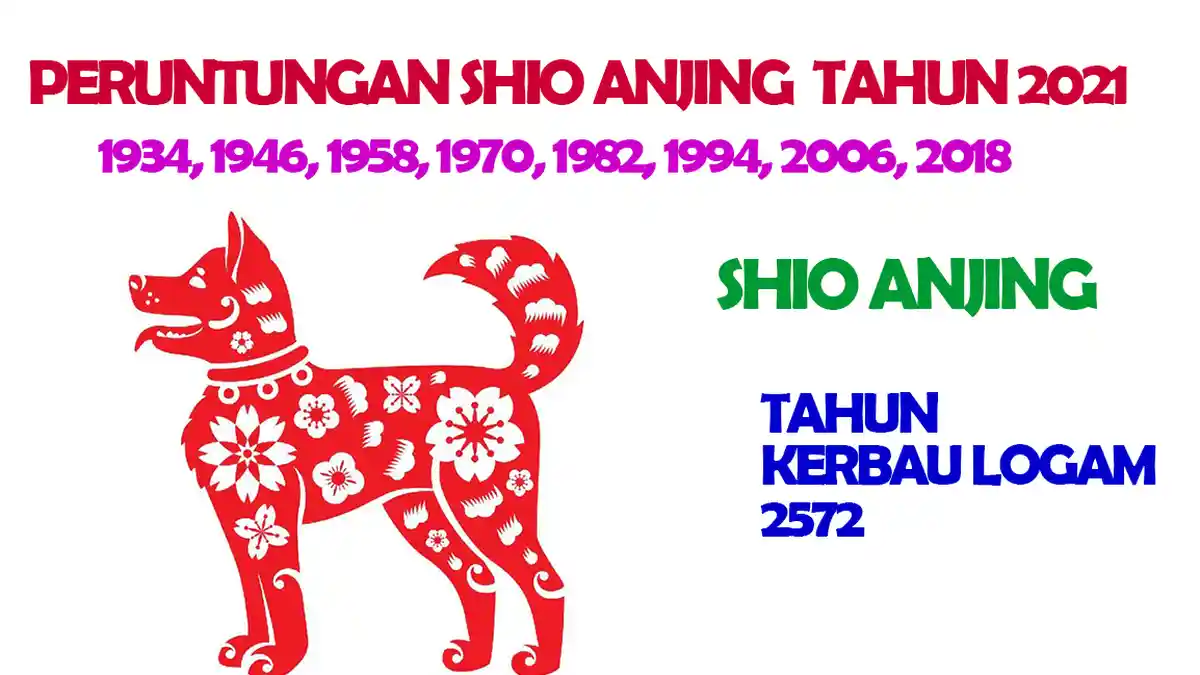 RAMALAN SHIO,Nasib Sial Diprediksi Dialami 4 Shio Ini  Kamis 1 April 202, Hati-hati Ambil Keputusan
