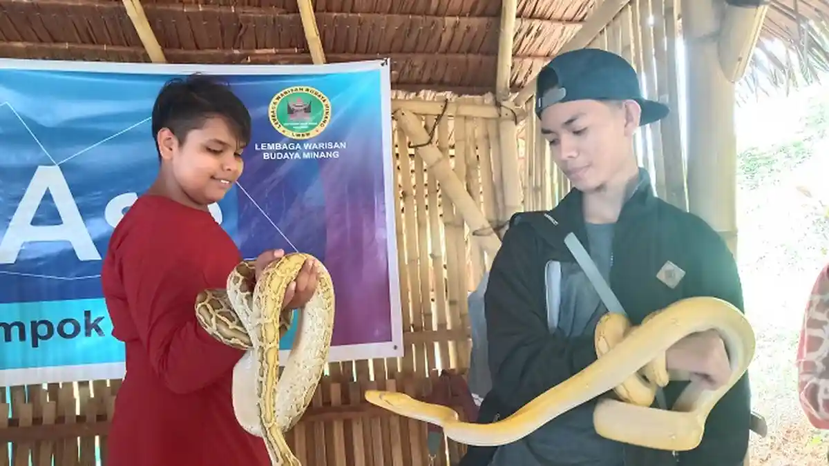 Komunitas Reptil dan Amphibi Padang Perkenalkan Berbagai Jenis Ular hingga Iguana ke Anak Paud