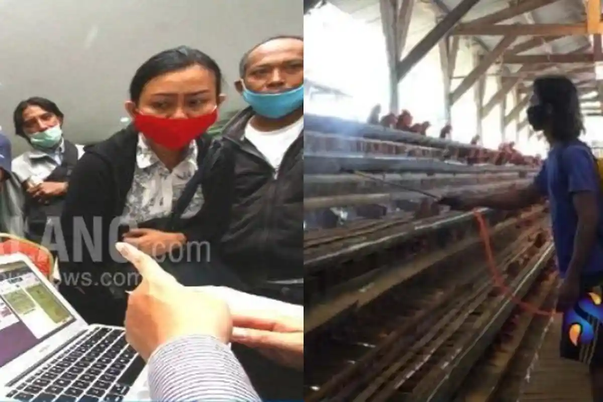 Berita Malang Hari Ini 13 Mei 2020 Populer: Hari Kedua PPDB Masih Ada Kendala & Harga Telur Anjlok