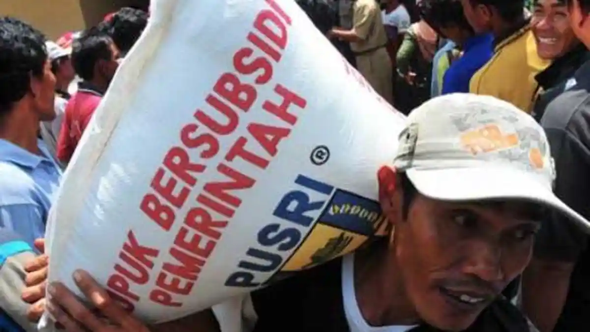 Koperasi Semakin Sulit Dapat Jatah Alokasi Pupuk Bersubsidi