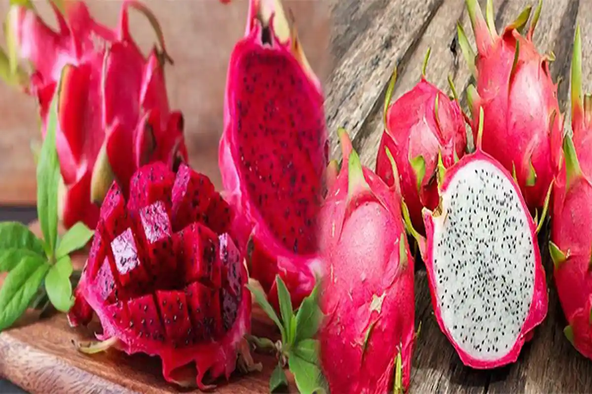 DERETAN Manfaat Ajaib Buah Naga untuk Bayi, Diantaranya Mampu Basmi Virus dan Bakteri