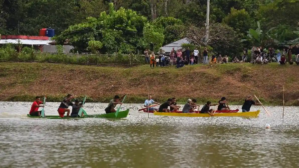 Lomba Pacu Perahu di Nagari Taluak Tanah Datar Membawa Berkah, Pedagang Panen Cuan