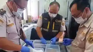 Petugas-menangani-Benih-Bening-Lobster-BBL-di-Kantor-BKHIT-DIY-Minggu-01032026.jpg