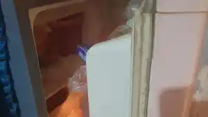 Cara-mengatasi-kulkas-tidak-dingin.jpg