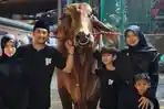 Tangis Irfan Hakim Pecah di Samping Sapi Kurban Sebelum Disembelih, Bisikkan Kata Perpisahan