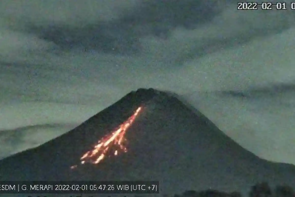 Gunung Api yang Berstatus Siaga Selasa 1 Februari 2022, Merapi, Semeru, Sinabung dan Ili Lewotolok