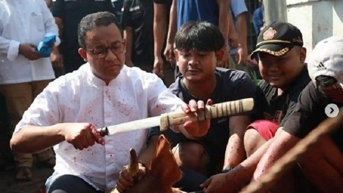 Anies Baswedan Sembelih Hewan Kurbannya Sendiri, Sudah Terbiasa Jadi Tukang Jagal Sejak SMA