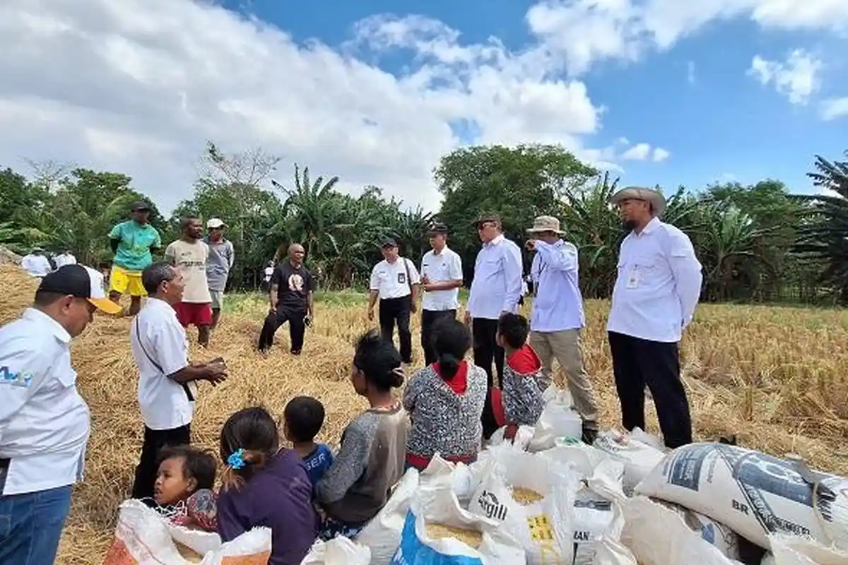 Dukung Program Swasembada Pangan, Staf Khusus Menteri Pertanian Kunjungi Desa Bena TTS