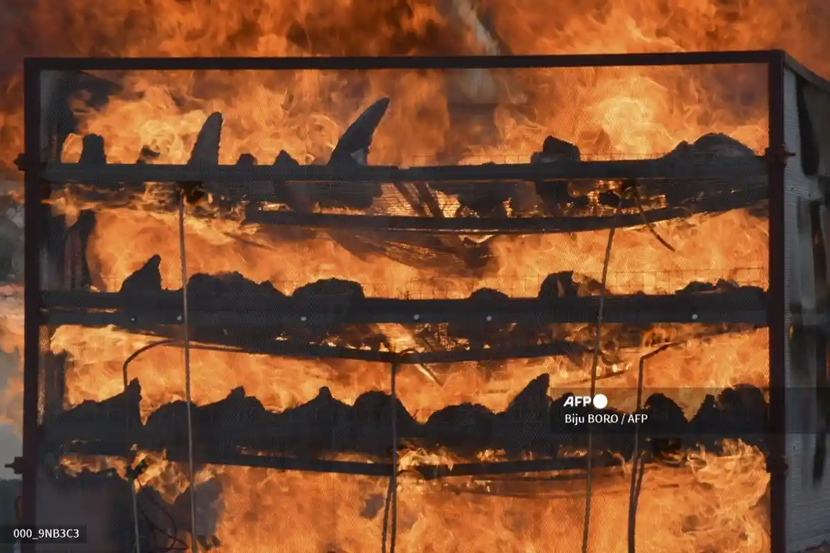 Peringatan Hari Badak Sedunia, India Bakar 2.500 Cula dalam Kampanye Anti-Perburuan Liar