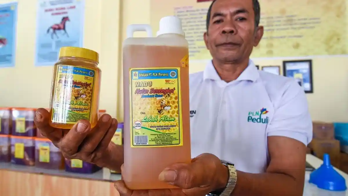 PLN Salurkan Bantuan Modal ke UMKM Senilai Rp 349 Miliar