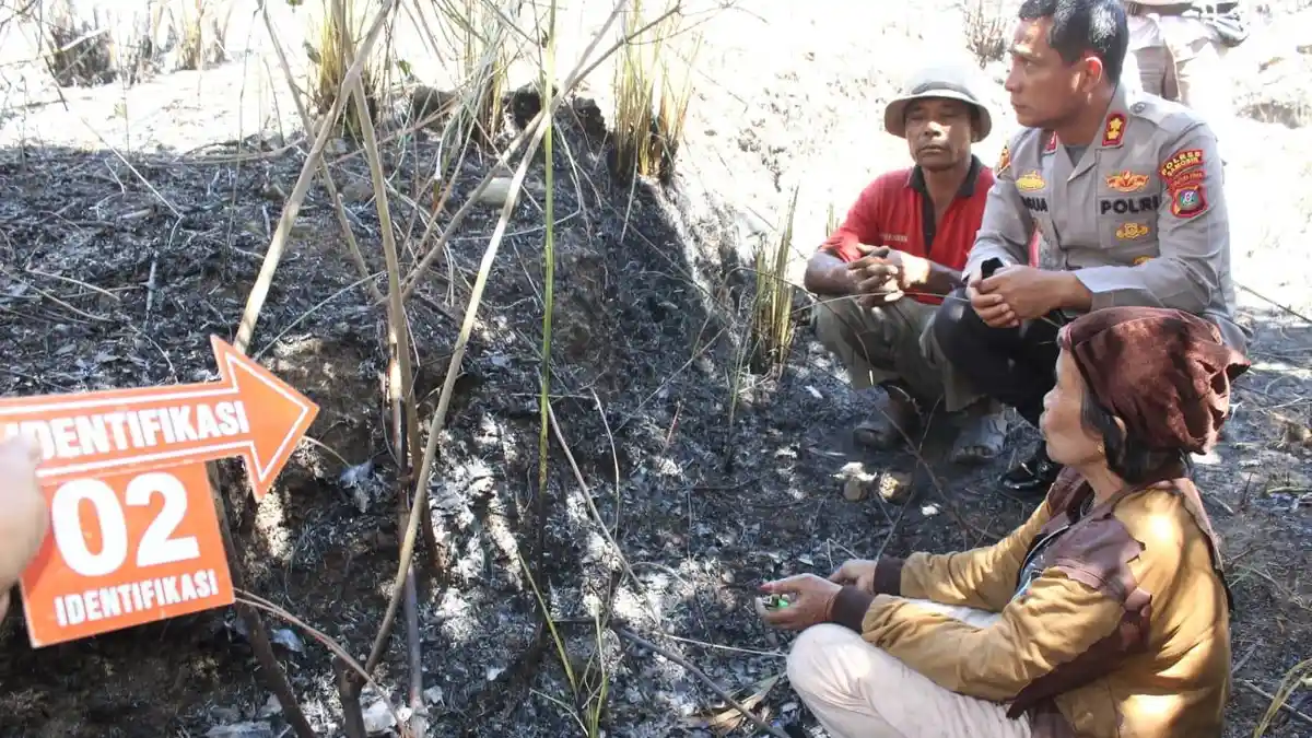 Tak Tahan Dua Pelaku Pembakaran Hutan di Samosir, Ternyata Ini Alasan Polisi