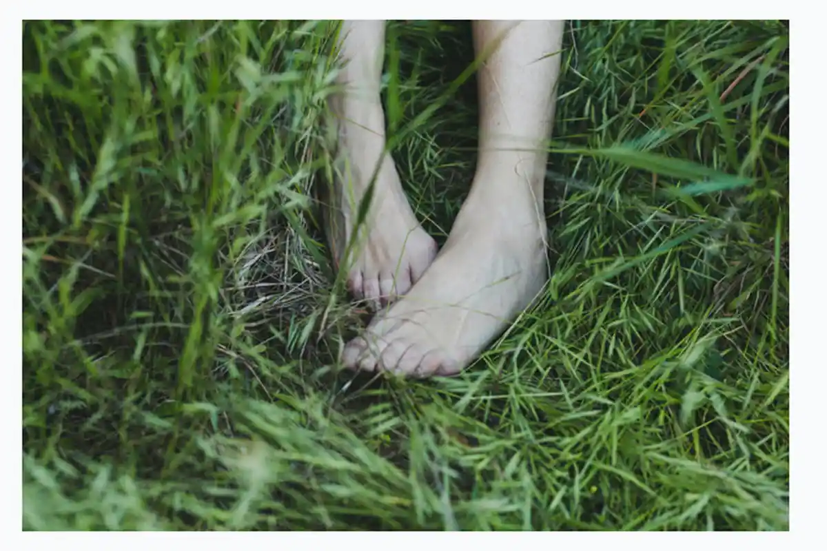 Hendak Jadi Pagar Ayu di Pesta Pernikahan, TN Justru Ditemukan di Semak-semak Dalam Kondisi Begini