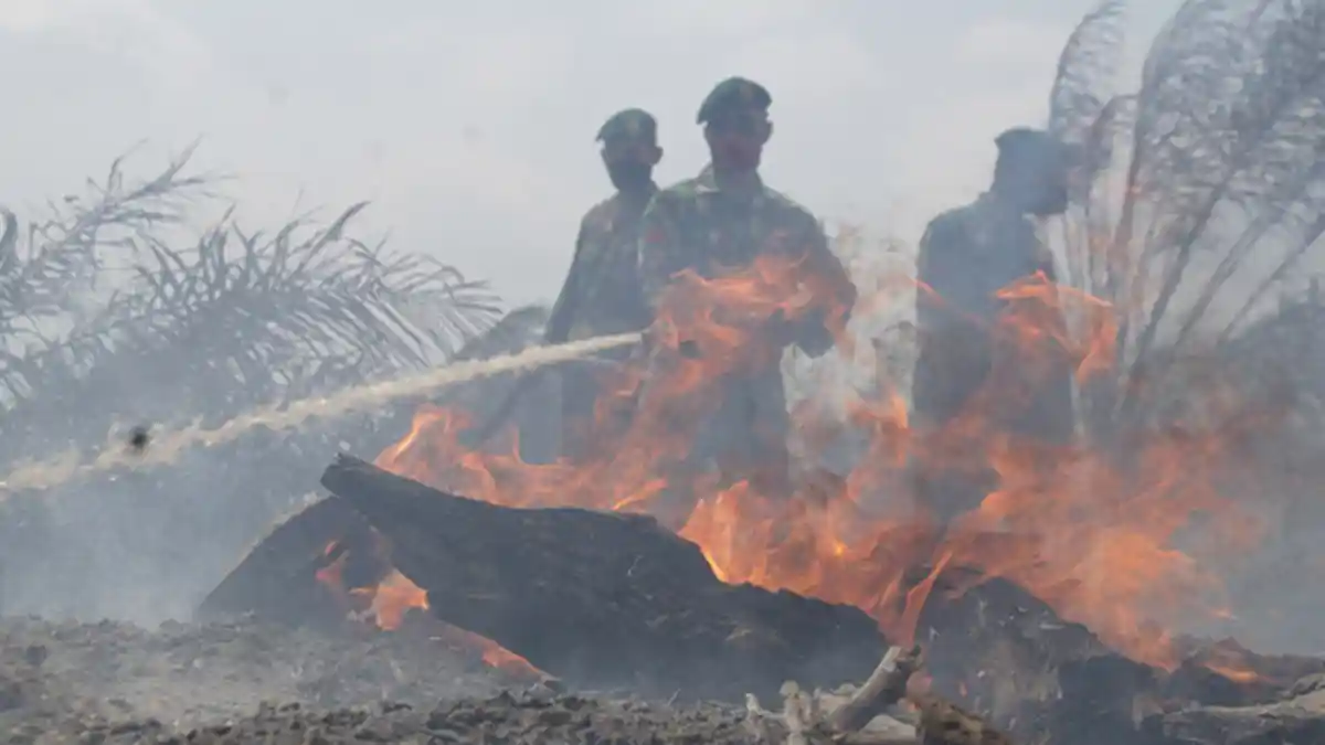 Hadapi Kekeringan, Cianjur Tetapkan Status Siaga Kebakaran