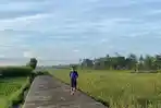 berlari-di-tengah-hamparan-sawah.jpg