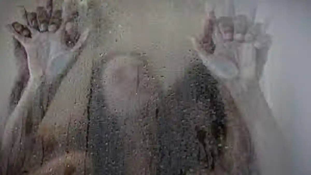 BUKANNYA Ngamuk, Istri Ini Malah Bersyukur Suami Selingkuh, Ternyata tak Kuat Hadapi Gairah Suami