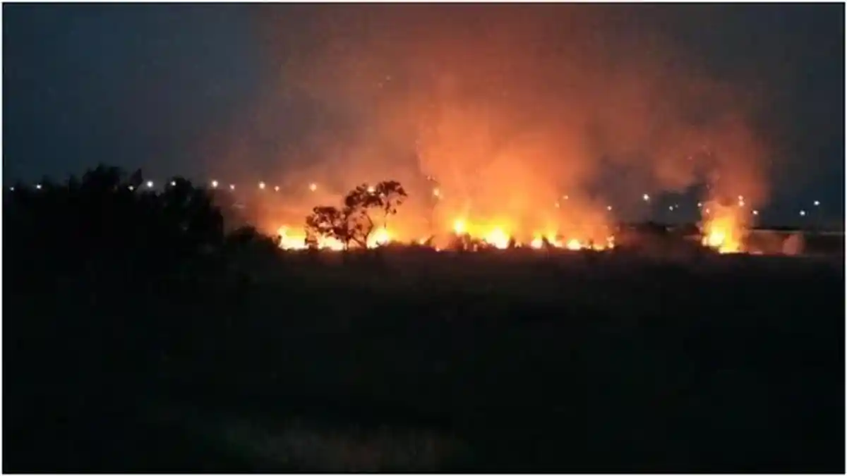 Kebakaran di Dekat Jalan Tol Palindra Ogan Ilir, Tim Satgas Berjibaku Lakukan Pemadaman