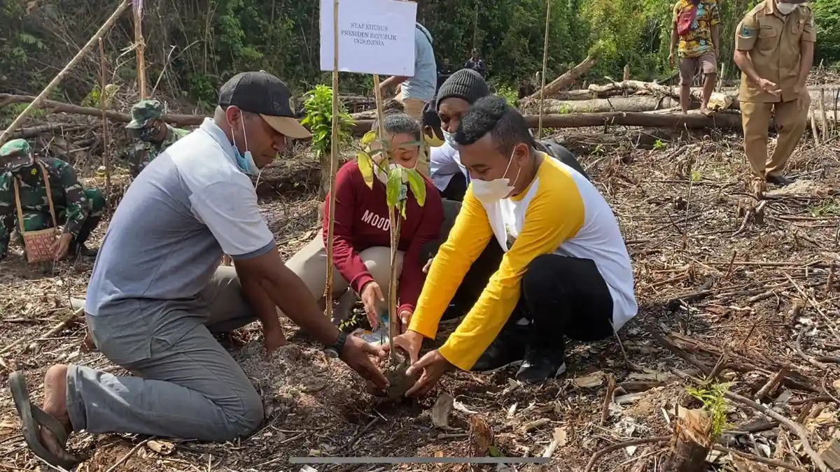 Percepatan Papua dan Papua Barat, Presiden Jokowi Dorong Program Petani Milenial