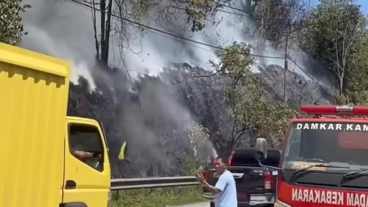 Karhutla di Kampar Lintas Riau-Sumbar, Pelakunya ODGJ