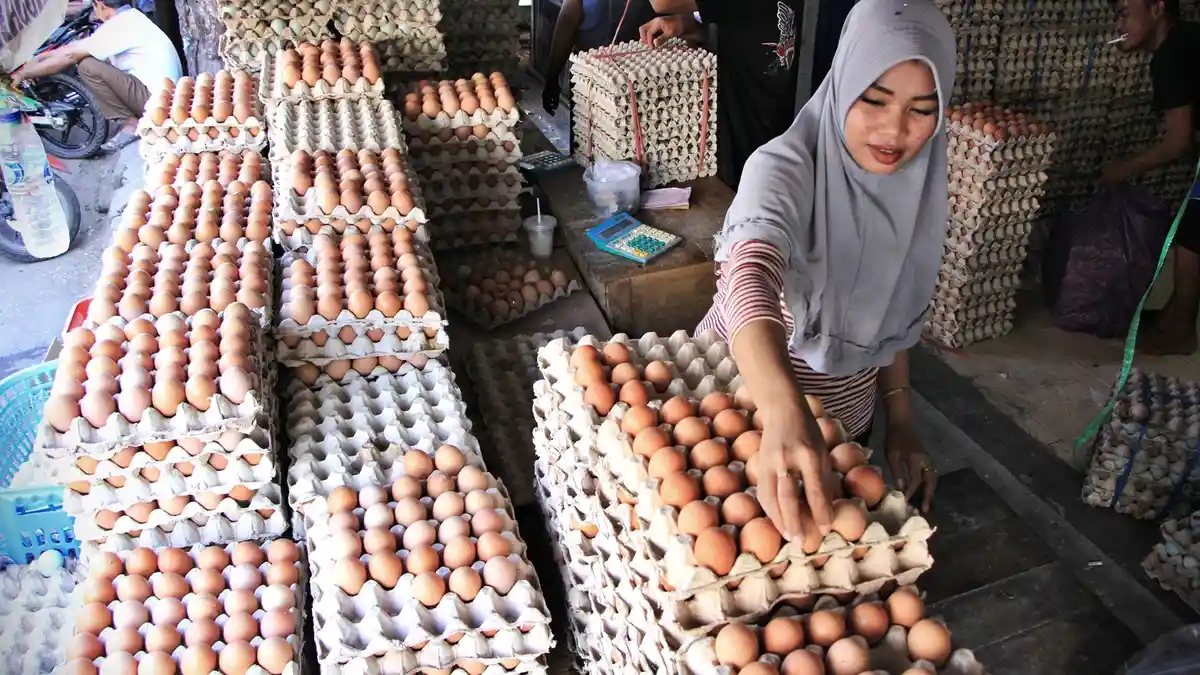 Menteri Amran Ingin Harga Telur Tak Lebih dari Rp 26 Ribu/Kg