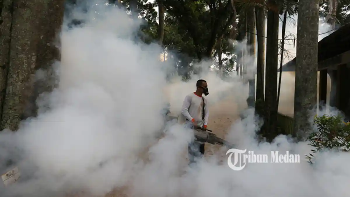 Kota Siantar Sempat Zona Merah DBD, Kini Sudah Diklaim Nol Kasus