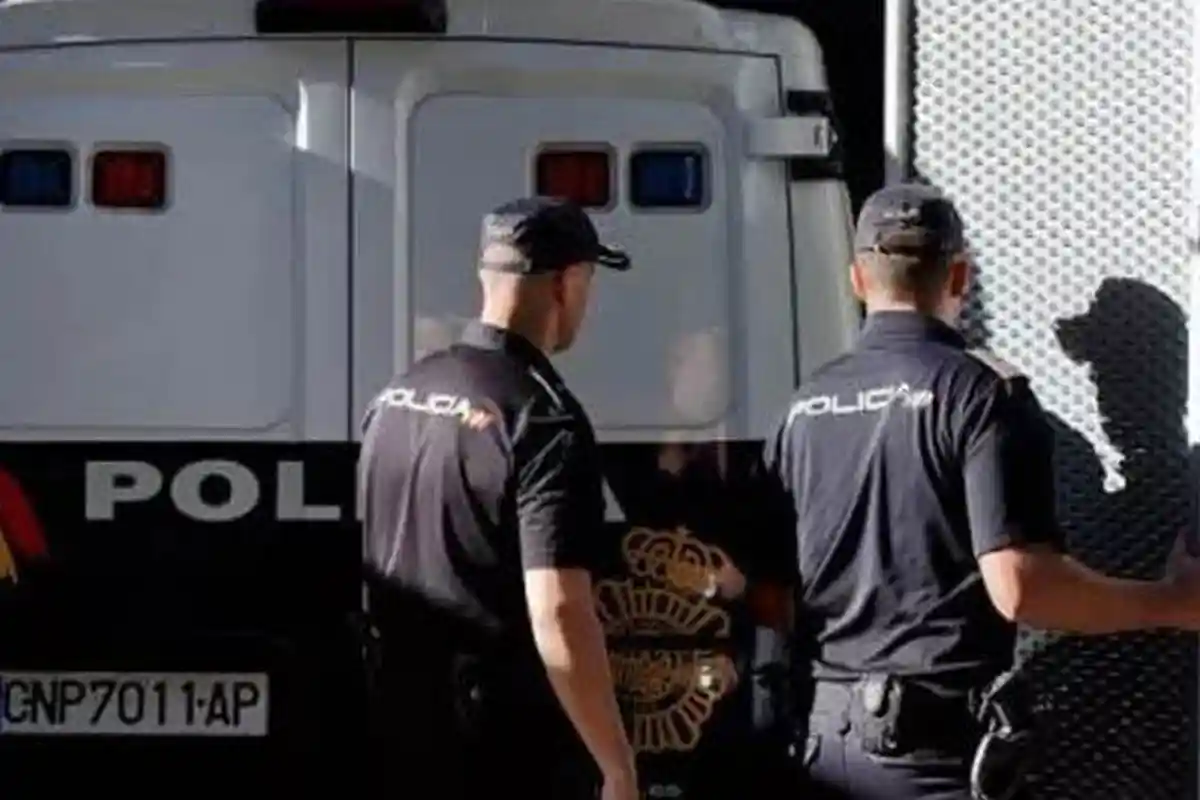 Wanita Tinggal Bersama Lima Kucing Ditemukan Tewas Mengenaskan, Lima Kucingnya Juga Ikut Mati