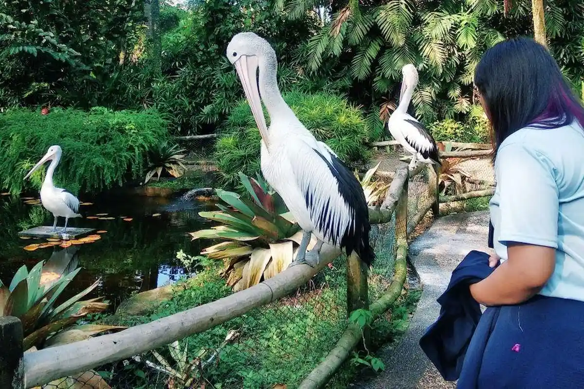 2023, Dinas Pariwisata Pemkot Bandar Lampung Target Kunjungan 2 Juta Wisatawan