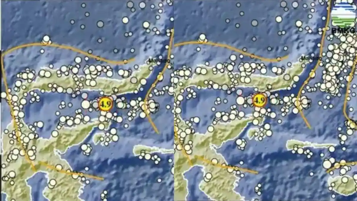Info Gempa Gorontalo Magnitudo 4.9, Cek Pusat Gempa Hari Ini di Bone Bolango via BMKG