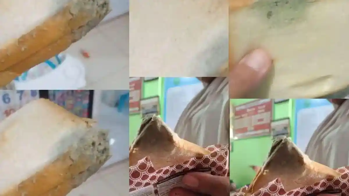 Daftar 43 SPPG Ditutup BGN Imbas Menu MBG Tak Layak, Jambi Masih Aman