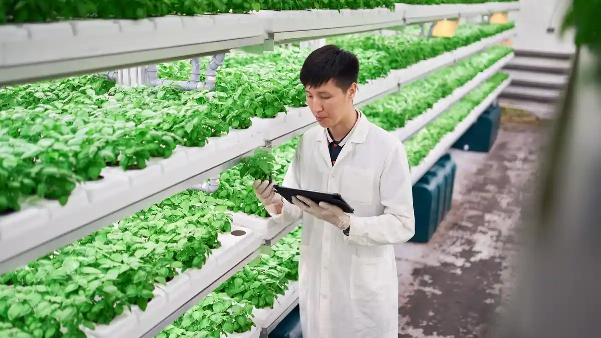 CP Foods Andalkan SAP untuk Keberlanjutan Bisnis Berbasis Cloud